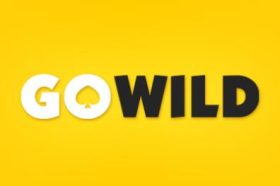 Онлайн казино go-wild