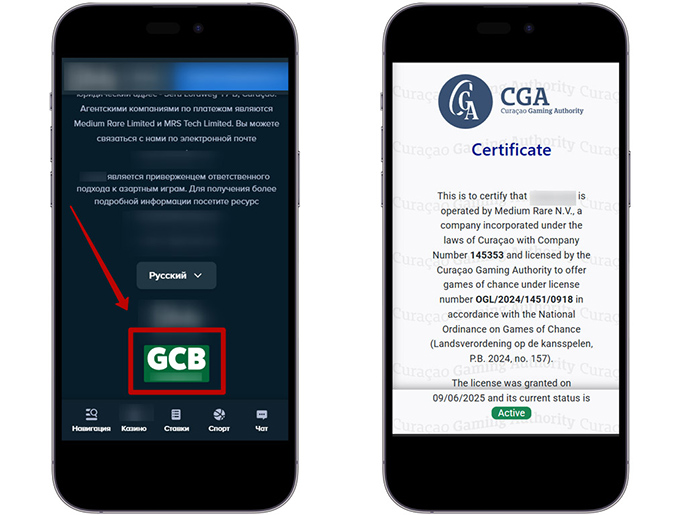 Лицензия на игорную деятельность