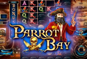 Parrot Bay