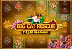 Big Cat Rescue MegaWays