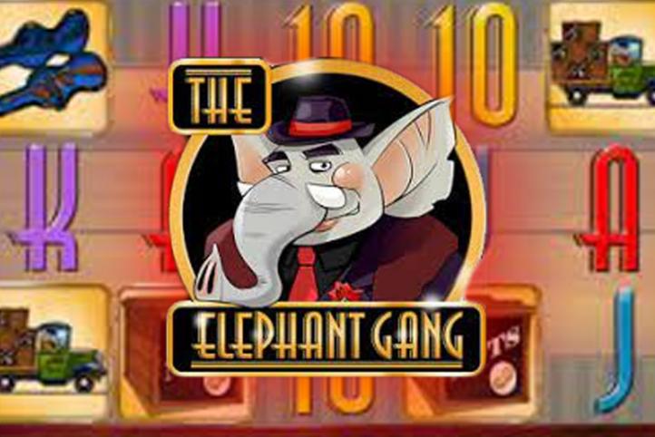 The Elephant Gang