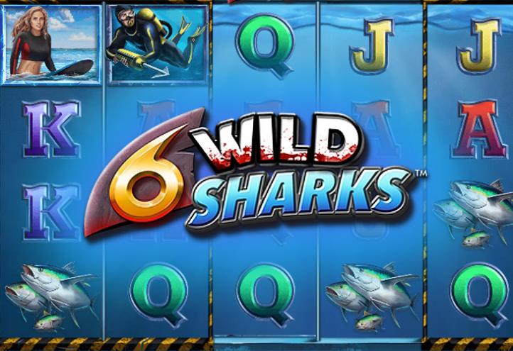 6 Wild Sharks