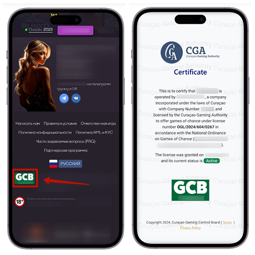 Проверка лицензии