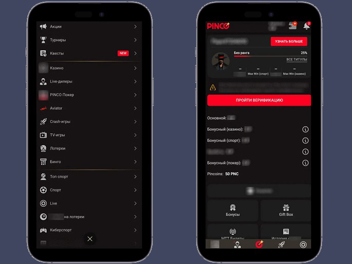 Программа лояльности Pinco