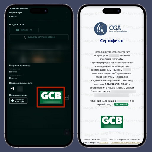 Логотип регулятора и карта валидатора