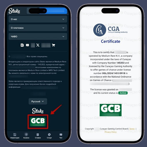 Данные о лицензии